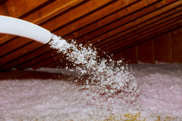 Best Commercial Insulation in Auburn, AL